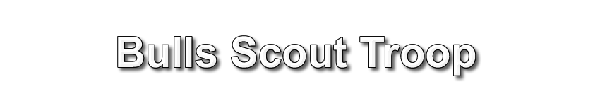 BullsScoutTroopTitle