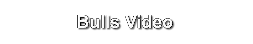 BullsVideosTitle